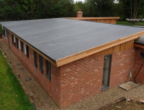 Replacing a Shed Roof in Time for Winter